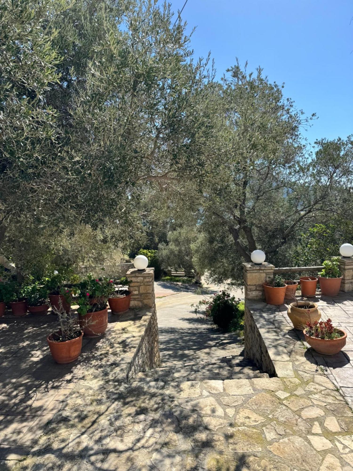 Olive Grove Plakiás Exterior foto